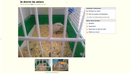 LeBonCoin : Un étrange animal de compagnie à donner