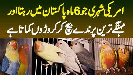 American Shehri Jo 6 Maah Pakistan Me Rehta Hai or Mehnge Tareen Birds Sale Kar Ke Croron Kamata Hai