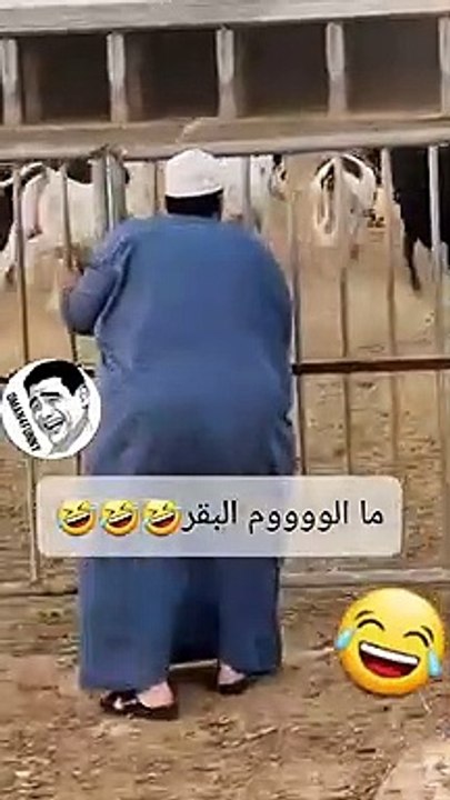 تحشيش عراقي 2022 -- __ مقاطع مضحكة -- __ مقطع مضحك جدا __ مقاطع انستكرام مضحكة __حالات واتساب مضحكة Do not stop laughing ha ha ha