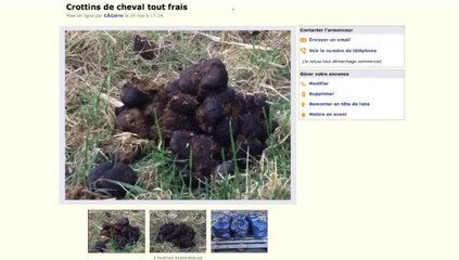 LeBonCoin.fr : Une vente étonnante pour... du crottin de cheval !