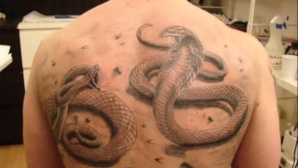 Il se fait tatouer un combat de serpents en 3D dans le dos