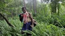 Baptisé Forest Man, cet homme a planté une immense forêt pendant 40 ans