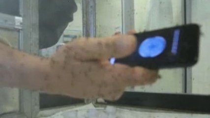 Avant de partir en vacances, testez l'application anti-moustique !