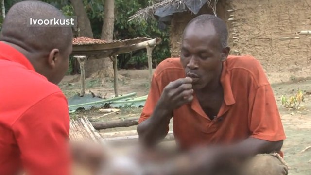 En Côte d'Ivoire, ces ramasseurs de fèves de cacao goûtent au chocolat pour la première fois