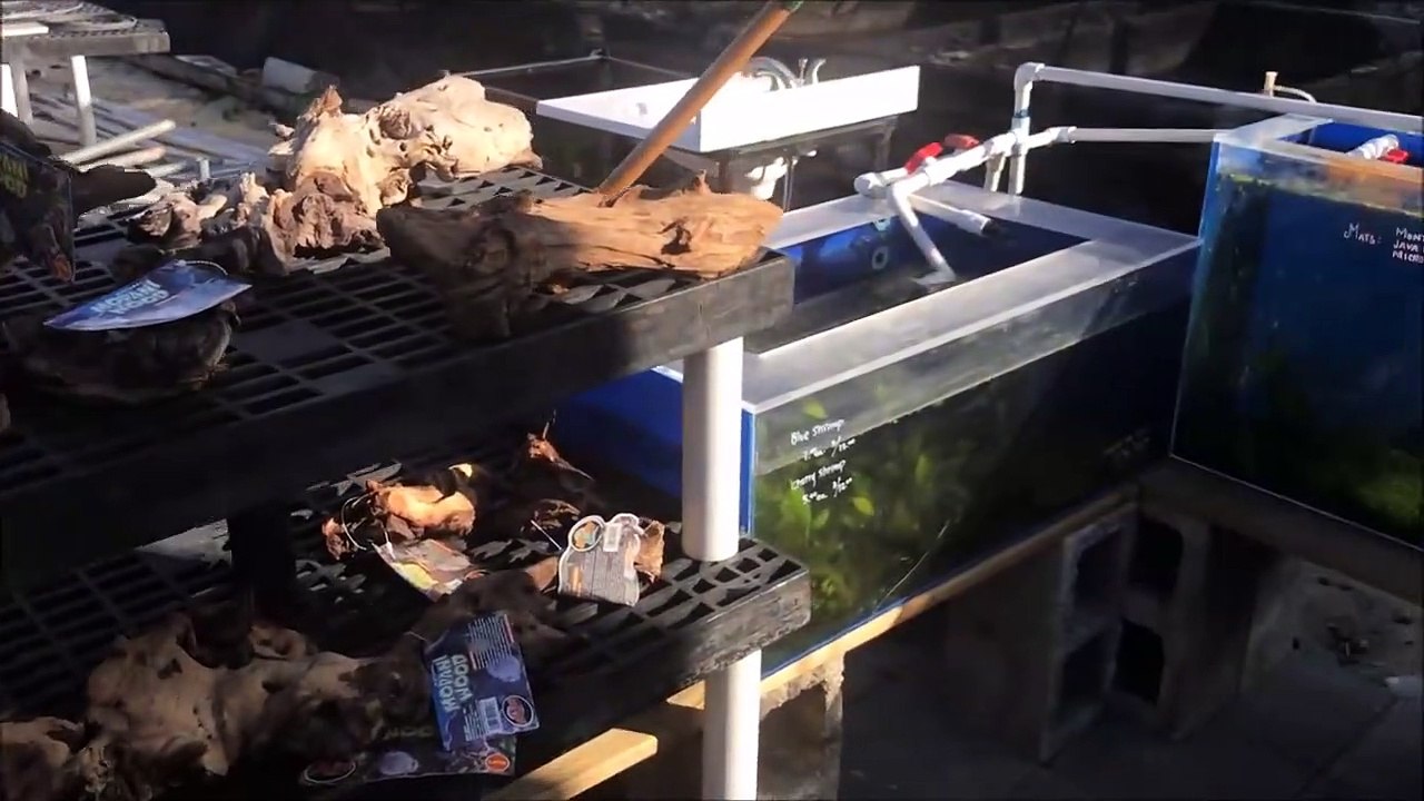 Fish Farm  in Florida