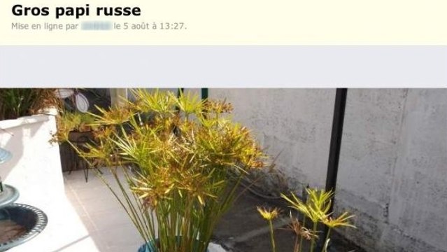 Le Bon Coin : un étrange ''gros papi russe'' à vendre sur le site