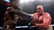 Deontay Wilder vs Tyson Fury 2 : La WBC annonce que le rematch ne sera pas immédiat