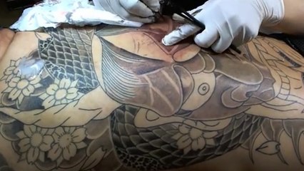 Découvrez l'avancée d'un somptueux tatouage Japonais