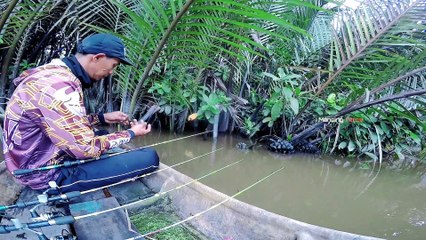 MANCING UDANG GALAH || JORANKU DITARIK KERAS KE DASAR SUNGAI