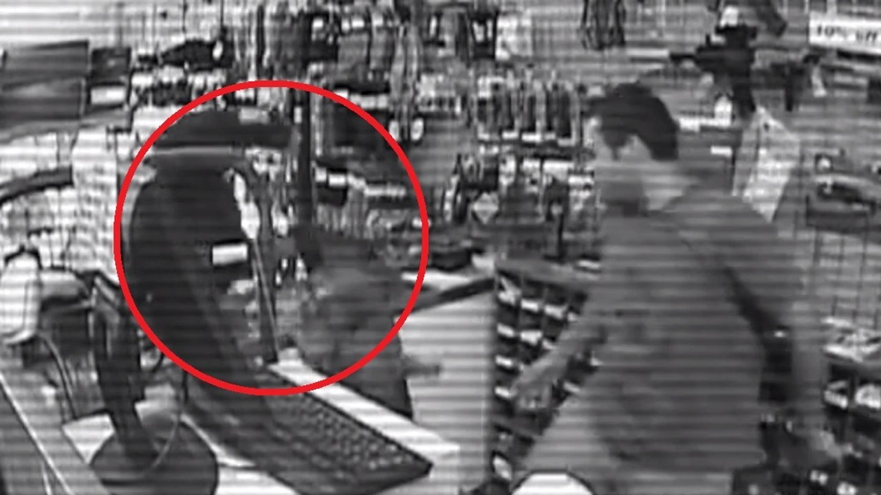 Un berger allemand sauve son maître d'un braquage