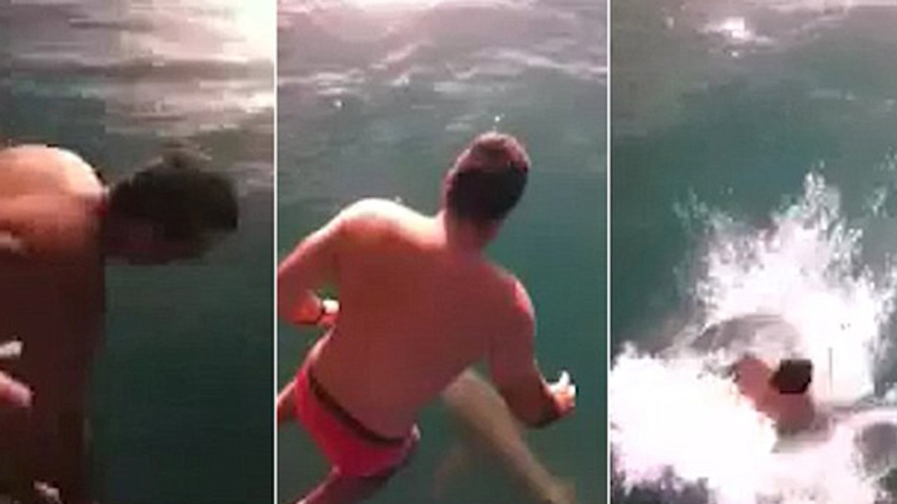 Cet homme s'est mis en danger en sautant sur un requin tigre