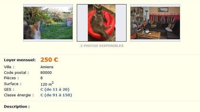 Le Bon Coin : il met une annonce hilarante pour chercher un colocataire