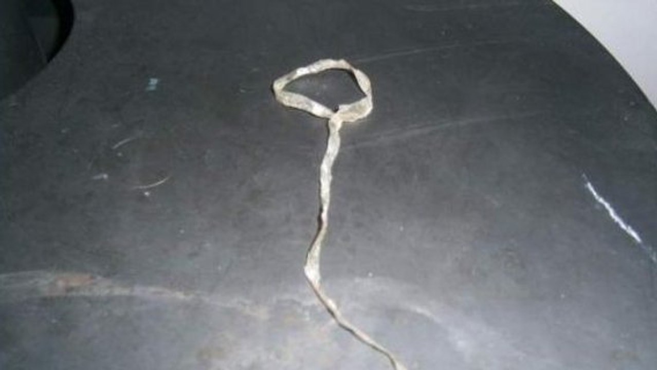 Le Bon Coin : la vente très insolite d'un lasso fabriqué en peau de saucisson sec