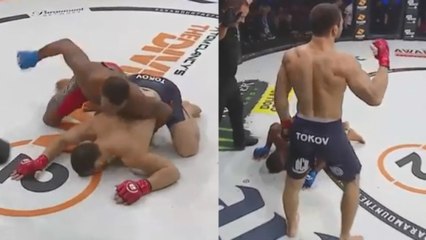 Bellator : complètement KO, Anatoly Tokov réalise le comeback le plus fou de l'histoire (VIDÉO)