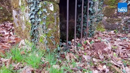 Au fil de l'eau - Au pays d'Hautefort