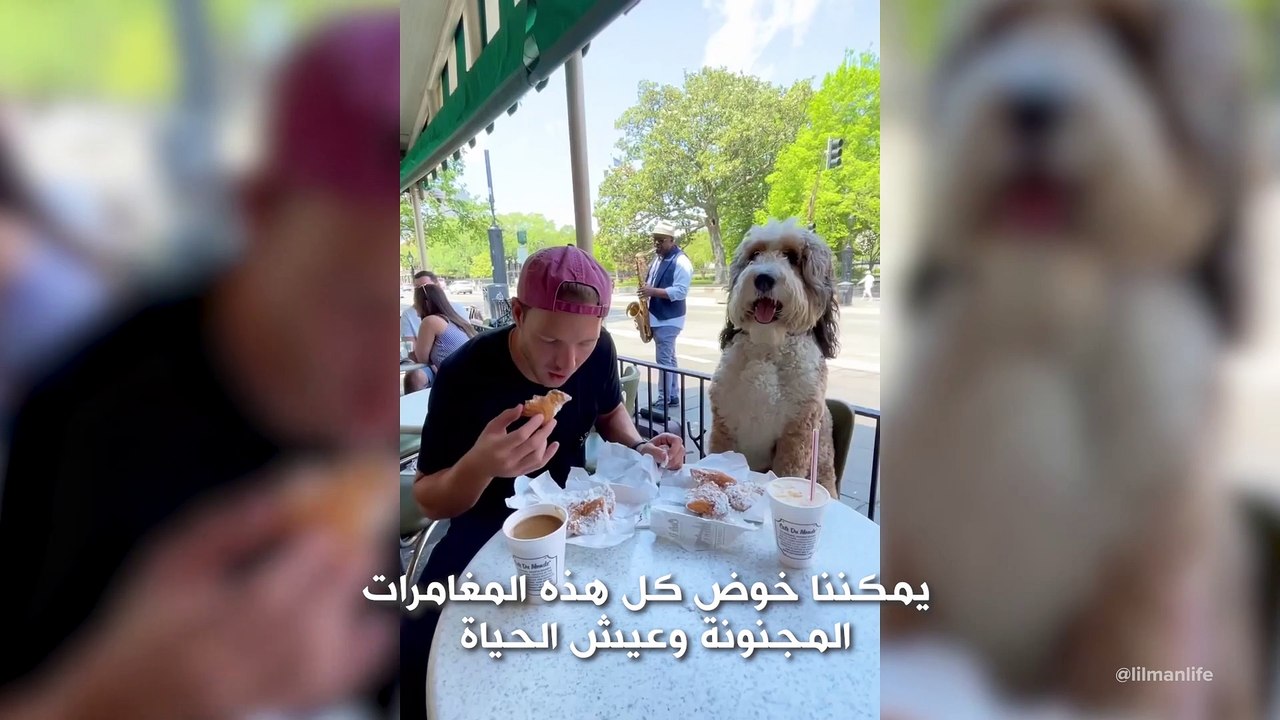 صديقي المفضل: كلبي هو توأم روحي