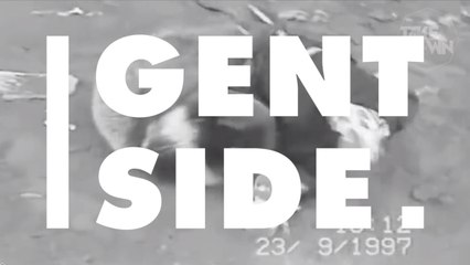 UFC : Khabib Nurmagomedov inquiété par une association pour ses combats contre des ours