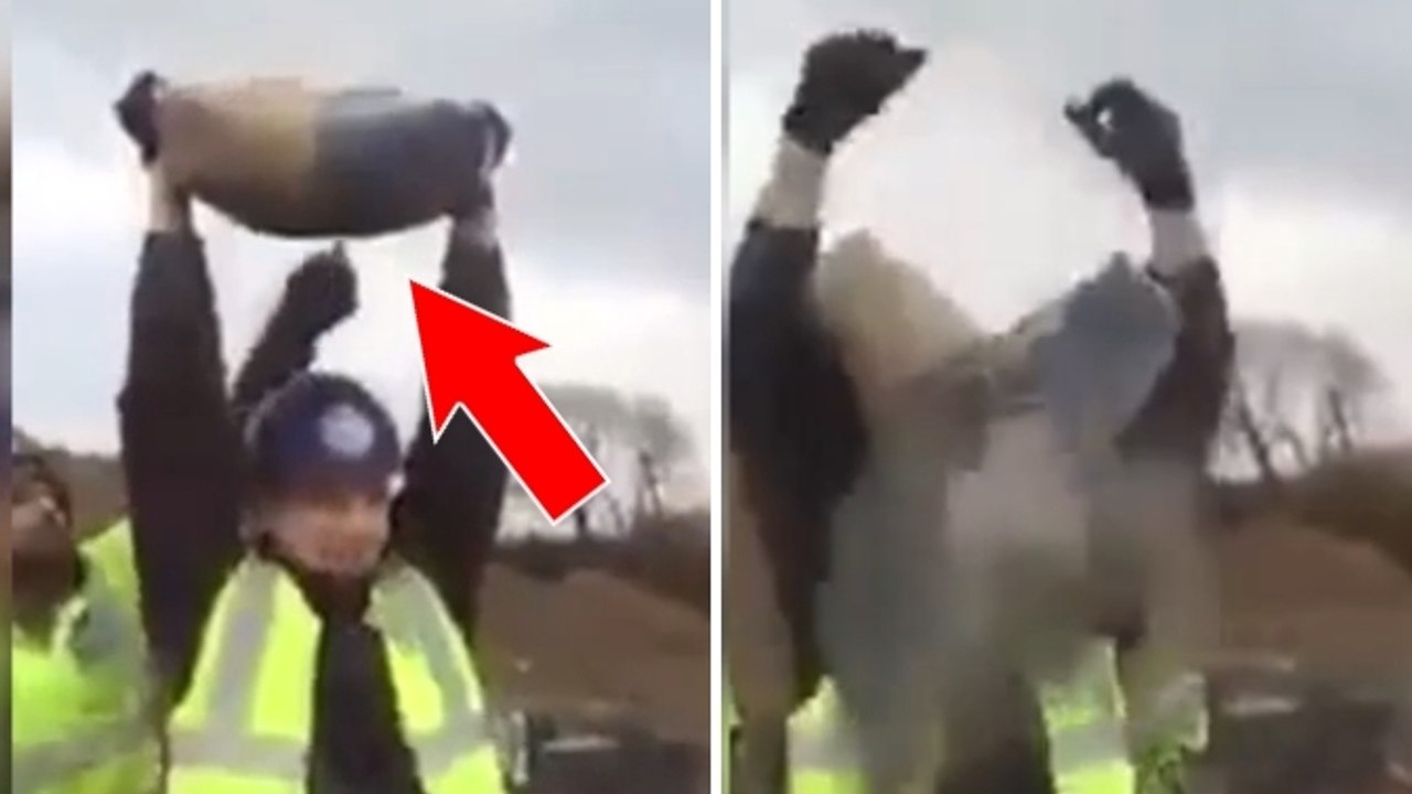 Cet ouvrier soulève un sac qui craque sur sa tête