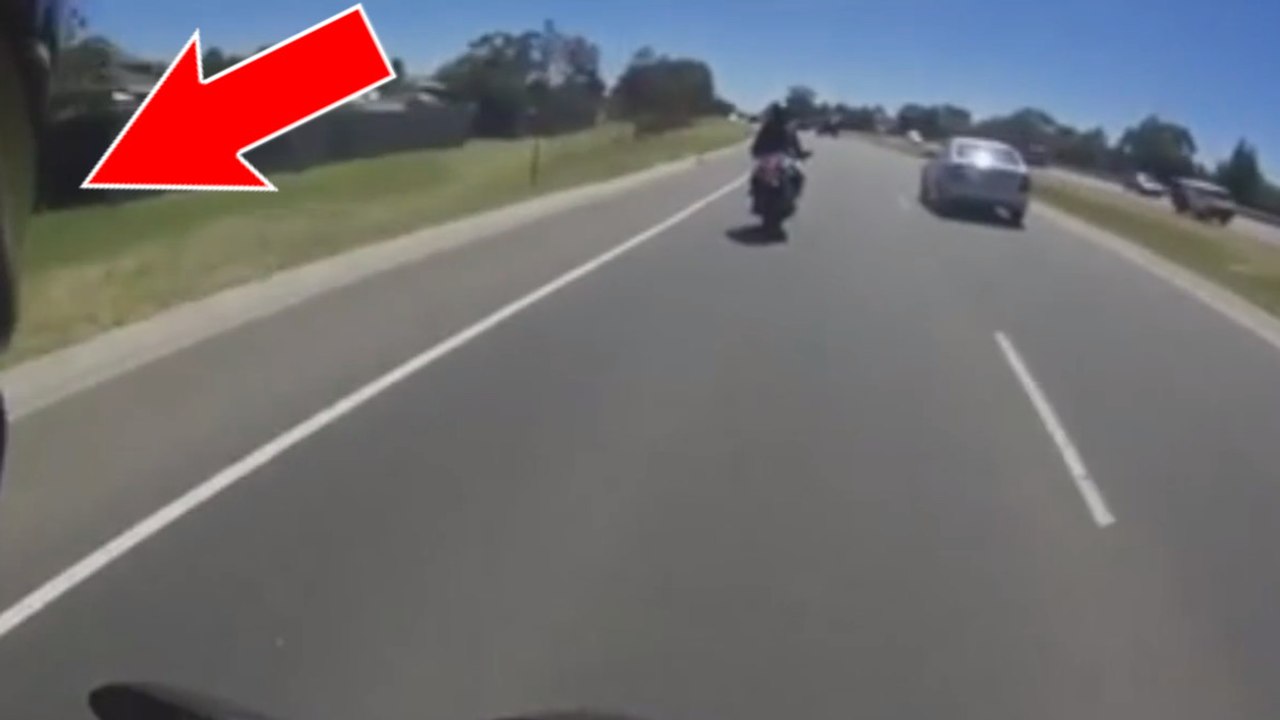 Un kangourou bondit au-dessus d'un motard sur une autoroute !