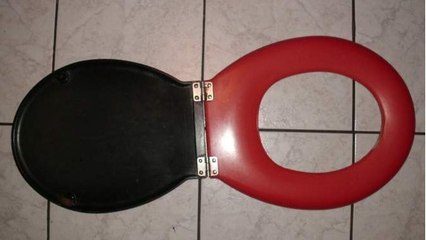 Leboncoin.fr : vous ne devinerez jamais à qui a appartenu cet abattant de WC