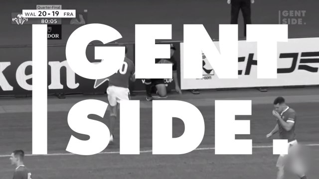 Coupe du monde rugby 2019 : l'arbitre pose avec les supporters gallois après le coup de coude de Sébastien Vahaamahina