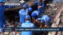 Banyak Hewan Laut Mati Akibat Limbah Hitam