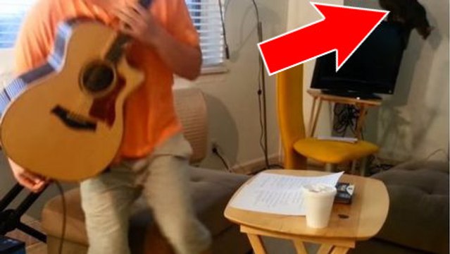 Cet homme doit regretter d'avoir pris un chat !