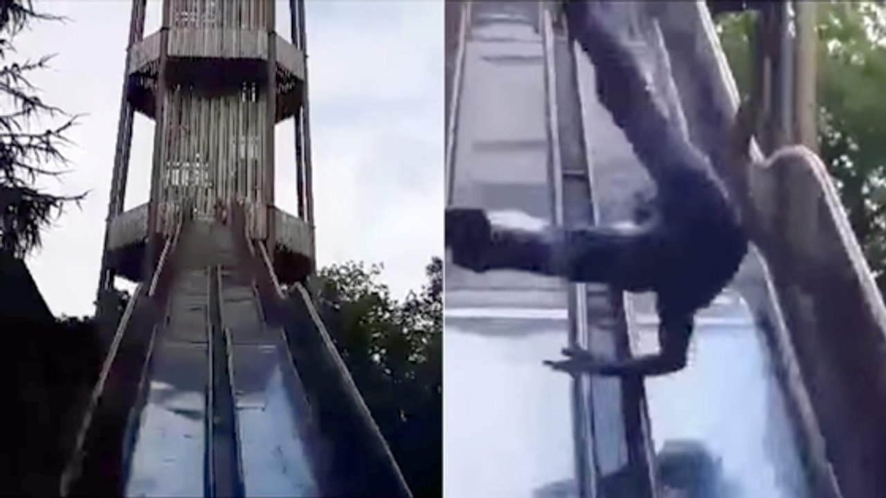 Ce toboggan est interdit au public et voilà la raison ! Vidéo Dailymotion