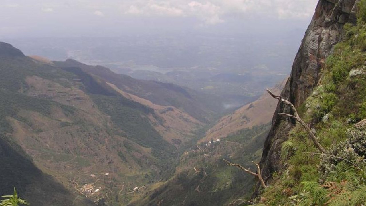 Sri Lanka : durant sa lune de miel, un touriste chute d'une falaise de 1 200 mètres et s'en sort indemne