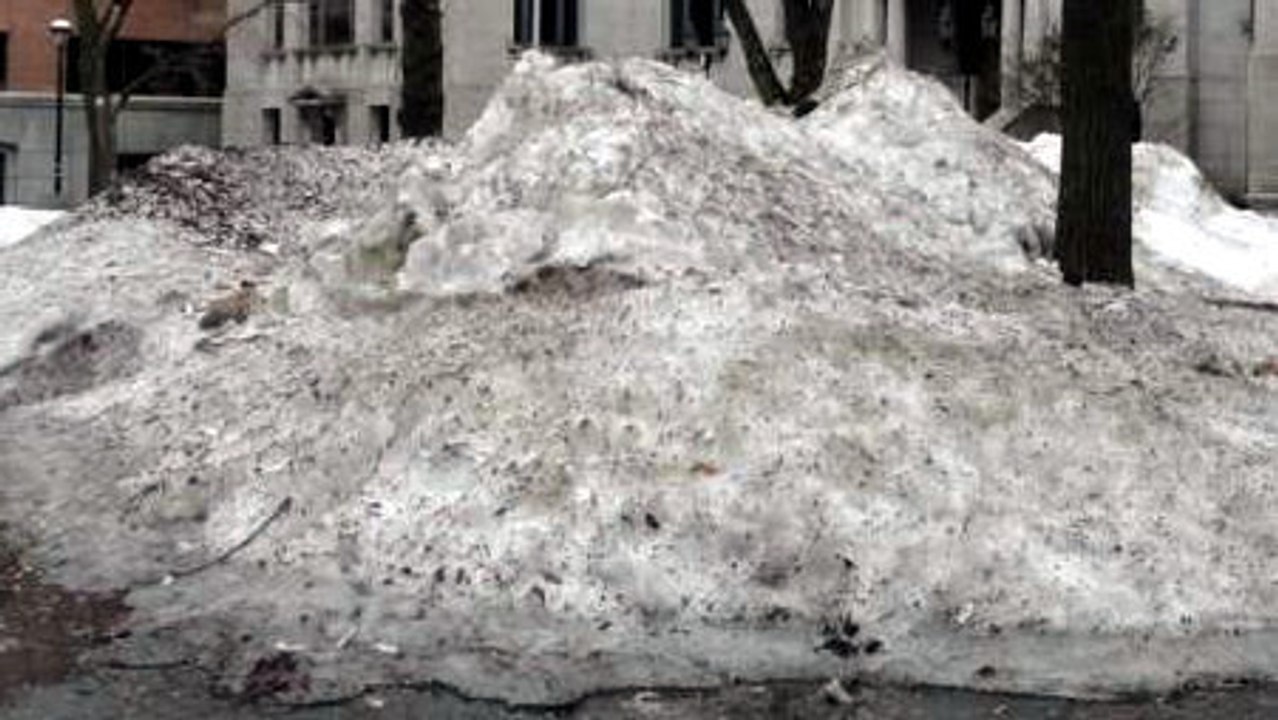 Le Bon Coin : il décide de la mettre en vente le trop de neige devant chez lui