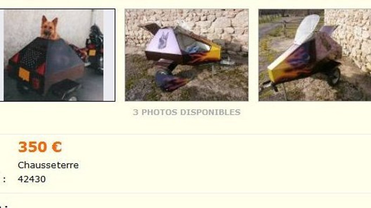 Le Bon Coin : il met en vente une remorque moto très spéciale pour les chiens