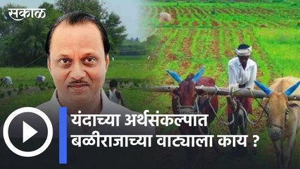 Maharashtra Budget Session 2022 Live l यंदाच्या अर्थसंकल्पात बळीराजाच्या वाट्याला काय ? | Sakal