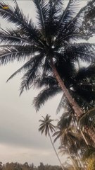 Suasana pedesaan yang indah