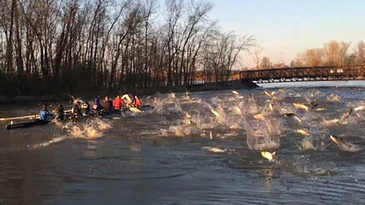 Ces rameurs ont été attaqués en plein entraînement