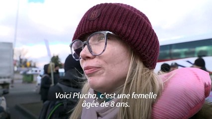 "On ne peut pas vivre sans eux": des réfugiés ukrainiens fuient avec leurs animaux