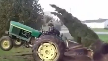 Cet homme a lutté avec un sapin pour le déterrer