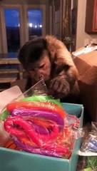 Fan Mail!!! How cool is this fidget box Ms Emma Curwen and Milly from the UK sent me❤️❤️❤️ and a tool set!!!