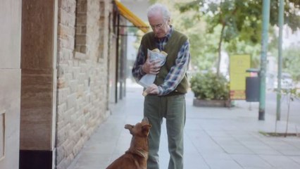 "L'homme et son chien" : une campagne émouvante pour sensibiliser au don d'organes