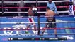 Boxe : Gervonta Davis claque le KO de l'année