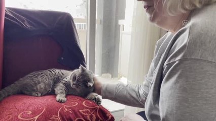 Kedileri "Vasili" ile Ukrayna'dan ayrılan çift Türkiye'ye sığındı