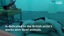 Damien Hirst exhibition dedicated to dead animal artworks opens in London