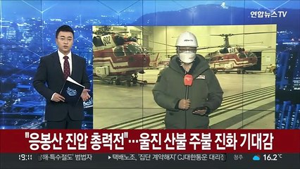 "응봉산 진압 총력전"…울진 산불 주불 진화 기대감
