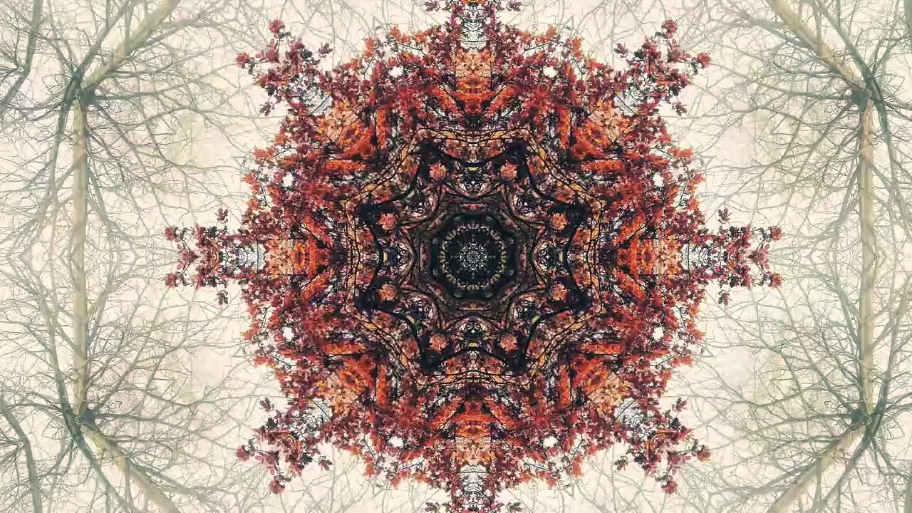 Conflicted (Ethnic House Music)