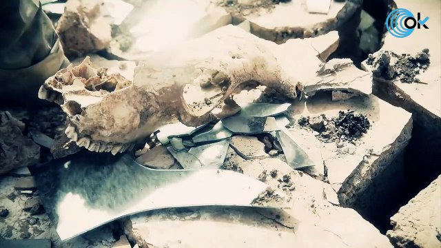 Zelenski recluta al letal francotirador canadiense que elimina enemigos desde 3,5 kilómetros