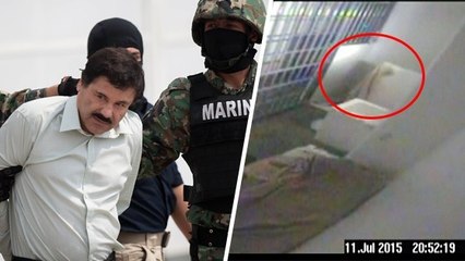 L'évasion du baron de la drogue "El Chapo" grâce à un tunnel