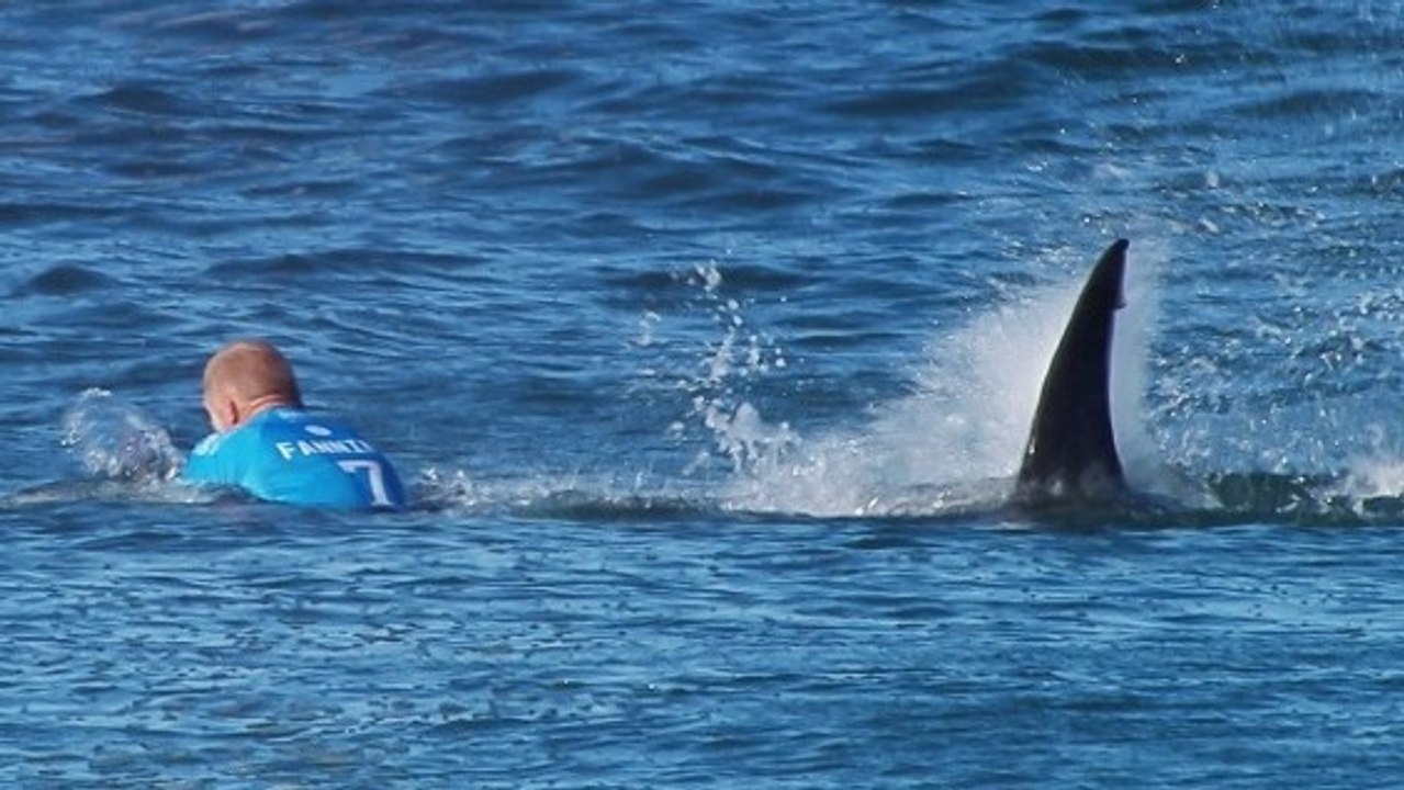 Mick Fanning : Attaqué par un requin en pleine compétition !