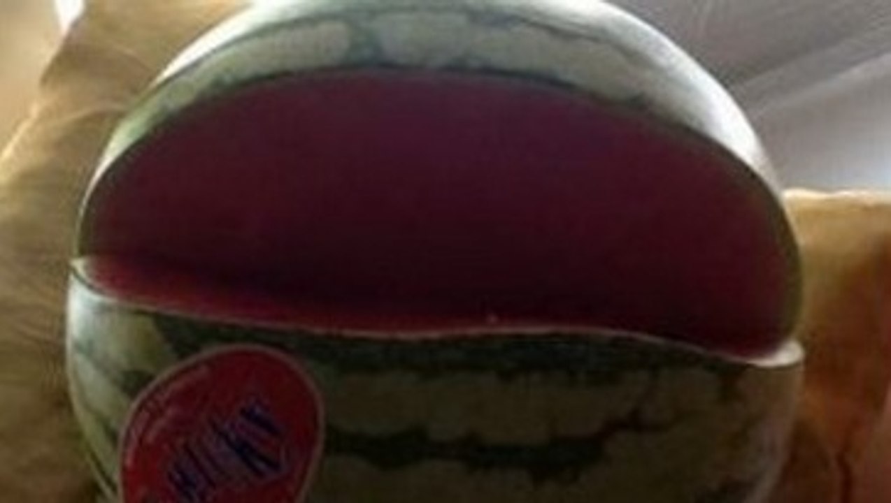 Le Bon Coin : il vend un chat comestible, le "chat steque"