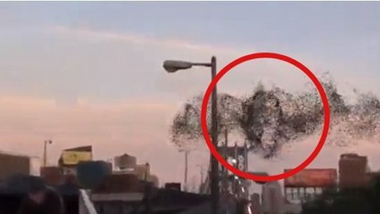 Ils filment une forme étrange dans le ciel