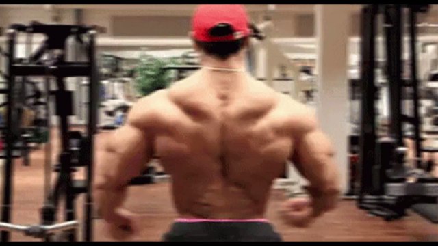 Bodybuilding : l'incroyable transformation d'Olivier Richters, passé de 80 kilos à 155
