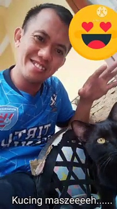 KUCING KU HITAM YANG GEMES